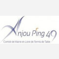 Anjou Ping